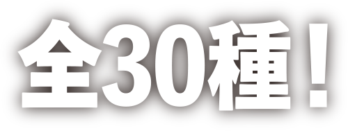 全30種！