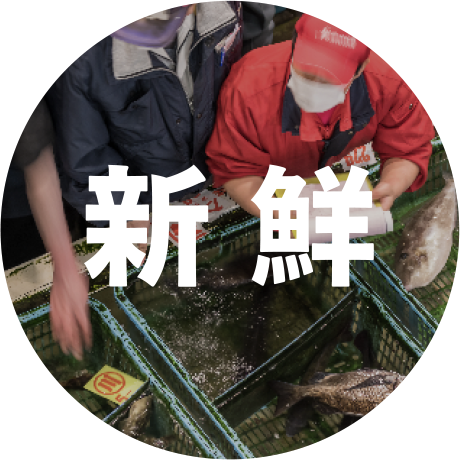 新鮮